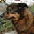 Jeffrey Collins's profile image