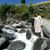 Shams Rahman's profile image