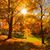 Juan Antonio Cadena's profile image