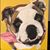 William Kurtz Algire's profile image