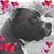 Becky Scott's profile image