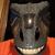 Thomas Gengler Jr.'s profile image