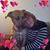 Guylaine Janlin Epouse Leduc's profile image