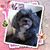 Joan Dibb's profile image