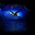 Daniel P Mahaffey's profile image