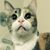 Laura Sly Mewes's profile image