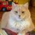Mary Jane Case Oglesby's profile image