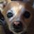Michael Safarik's profile image