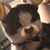 Kelli Peterson's profile image