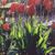 Loretta Johnson-Bean's profile image