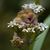 Mary Speer's profile image