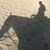 Liz Neuman's profile image