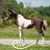 Nicole Jones Pearsall's profile image