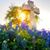 Nancy Colson's profile image