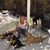 Diana Shapiro's profile image