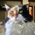 Shannan Farmer's profile image