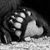 Nancy Haddock's profile image