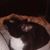 Kimberly Kurz's profile image