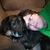 Brandi Bone Rennick's profile image