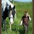 Traci Merrill's profile image
