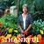 Linda Guernsey's profile image