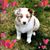 Shari Knapstad's profile image