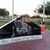 Dina Moran Ramos's profile image