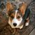 Merrilee Margel's profile image