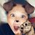 Chi Diep's profile image