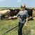 Linda Graves's profile image
