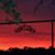 Pam Vaughan Chaney's profile image