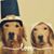 Janice E. Anderson's profile image
