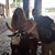Donald Lee Tombaugh Jr's profile image