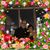 Wanda Fuentes's profile image