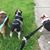 Linda Kob Smith's profile image
