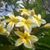Lisa Carlsen's profile image