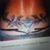 Pam Adams's profile image