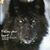 Patricia McHolstrom's profile image