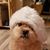 Gina Morrison Waite's profile image