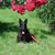 Ingrid Lipscomb's profile image