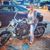Samantha Nowling Howard's profile image