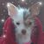 Ellyn Ainsleigh's profile image