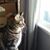 Pam Kaz's profile image