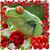 Paige Donnelly's profile image