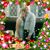 Mariann Izzo Cheney's profile image