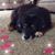Tonja Spencer's profile image