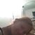 Kimberly Moore's profile image