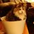 Christie Bahr's profile image
