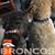 Gina Lozano's profile image