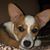 Susan Strachn Jones's profile image